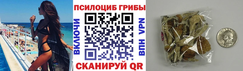 купить наркотики сайты Юрьевец Галлюциногенные грибы мухоморы